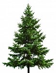 Rozvoz vánočních stromků